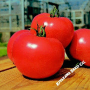 tomato-seeds-momotaro-hybrid