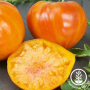 tomato-seeds-pattys-striped-beefsteak