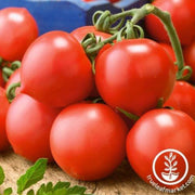 tomato-seeds-riesenstraube