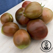 tomato-seeds-rouge-de-summer