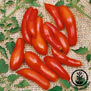tomato-seeds-sausage