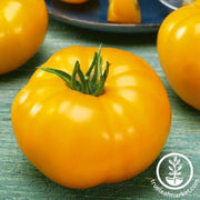 tomato-seeds-sparks