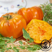 tomato-seeds-striped-german