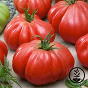 tomato-seeds-stuffer-pink