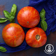 tomato-seeds-tigerella