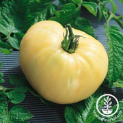 tomato-seeds-white-wonder