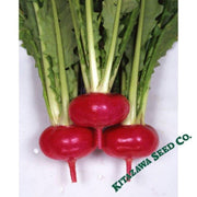turnip-seeds-hidabeni