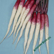 turnip-seeds-hinona-kabu