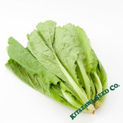 turnip-seeds-nozawana