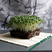 turnip-seeds-nozawana-microgreens-seeds