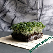 turnip-seeds-sugukina-microgreens-seeds
