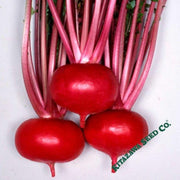 turnip-seeds-tsugaru-scarlet-hybrid-Comp