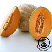tuscany-melon-seed