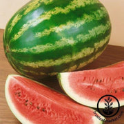watermelon-seeds-royalty-f1