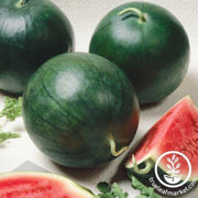 watermelon-seeds-triple-baby-f1-organic