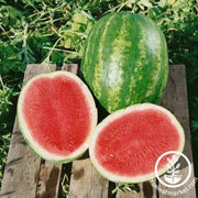 watermelon-seeds-triple-crown-f1-organic