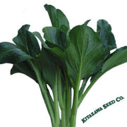 yu-choy-sum-seeds-late-green