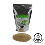 Quinoa Grain Sprouting Seeds - Organic 1 lb