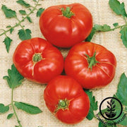 Tomato Seeds - Box Car Willie