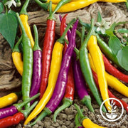 Pepper Seeds - Hot - Cayenne Fiesta Blend