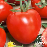 Tomato Seeds - German Red Strawberry