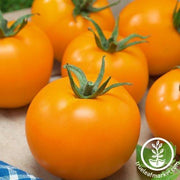 Tomato Seeds - Mandarin Cross
