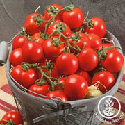 Tomato Seeds - Quedlinburger Furhe Libe
