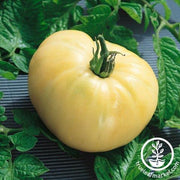 Tomato Seeds - White Wonder