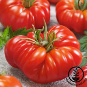 Tomato Seeds - Zapotec Oaxacan Ribbed