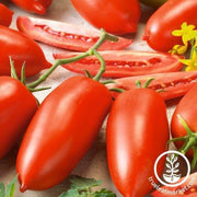 Tomato Seeds - Super Italian Paste
