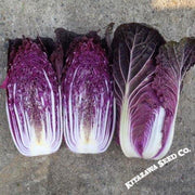 Chinese Cabbage Seeds - RCC9 Red - Hybrid