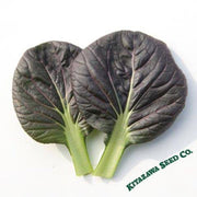 Cabbage Seeds - Pak Choi - Red Tatsoi - Hybrid