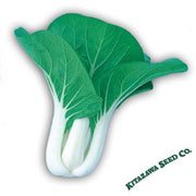 Cabbage Seeds - Pak Choi - Dwarf White Stem