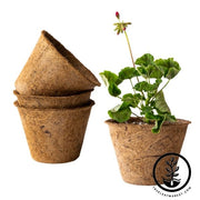 Coco Fiber Plant Pots - Large Round - 6.5 Inch 3 Pack