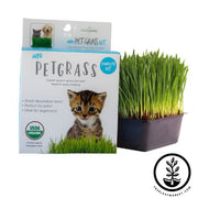 Cat Grass Kits - Wholesale