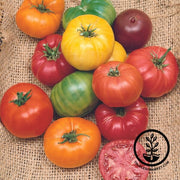 Tomato Seeds - Slicing - Beefsteak Rainbow Blend