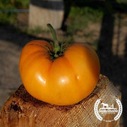 Tomato Seeds - Slicing - Golden Queen (Organic)
