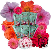 Flower Seeds Collection - Shades of Red & Purple