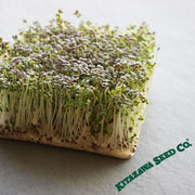 Mustard - Mizuna Red Streaks (Organic) - Microgreens Seeds