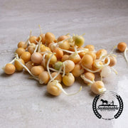 Yellow Pea - Organic - Sprouting Seeds