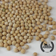 Yellow Pea - Organic - Cover Crop Seeds