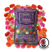 Flower Mix - Zinnia Special Collection