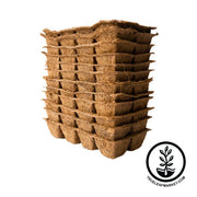 Coco Fiber Plant Pots - 8 Cell Seed Starting Tray - 12 Pack
