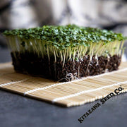 Mustard Seeds - Small Gai Choi - Microgreens Seeds