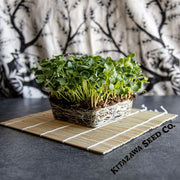 Radish Seeds - Nerima - Microgreens