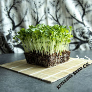 Radish Seeds - Wakayama White - Microgreens Seeds