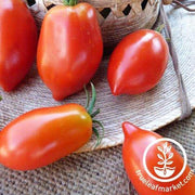 Tomato Seeds - Paste - Amish Paste