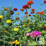 Annual Cut Flower Seed Mix