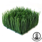 Artificial Decorative Wheat Grass