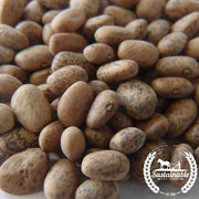 Organic Blue Speckled Tepary Bean Seeds